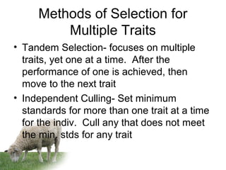 Methods of Selection for
Multiple Traits
• Tandem Selection- focuses on multiple
traits, yet one at a time. After the
performance of one is achieved, then
move to the next trait
• Independent Culling- Set minimum
standards for more than one trait at a time
for the indiv. Cull any that does not meet
the min. stds for any trait
 