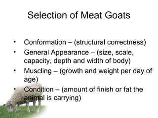 Selection of Meat Goats
• Conformation – (structural correctness)
• General Appearance – (size, scale,
capacity, depth and width of body)
• Muscling – (growth and weight per day of
age)
• Condition – (amount of finish or fat the
animal is carrying)
 