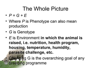The Whole Picture
• P = G + E
• Where P is Phenotype can also mean
production
• G is Genotype
• E is Environment in which the animal is
raised, i.e. nutrition, health program,
housing, temperature, humidity,
parasite challenge, etc.
• Changing G is the overarching goal of any
breeding programme
 