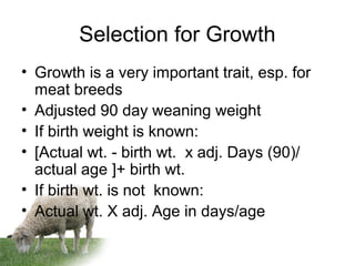 Selection for Growth
• Growth is a very important trait, esp. for
meat breeds
• Adjusted 90 day weaning weight
• If birth weight is known:
• [Actual wt. - birth wt. x adj. Days (90)/
actual age ]+ birth wt.
• If birth wt. is not known:
• Actual wt. X adj. Age in days/age
 
