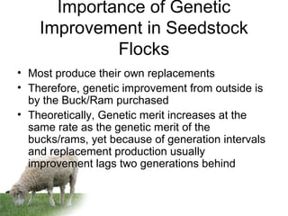 Importance of Genetic
Improvement in Seedstock
Flocks
• Most produce their own replacements
• Therefore, genetic improvement from outside is
by the Buck/Ram purchased
• Theoretically, Genetic merit increases at the
same rate as the genetic merit of the
bucks/rams, yet because of generation intervals
and replacement production usually
improvement lags two generations behind
 