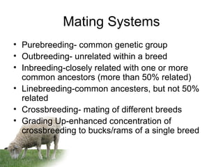 Mating Systems
• Purebreeding- common genetic group
• Outbreeding- unrelated within a breed
• Inbreeding-closely related with one or more
common ancestors (more than 50% related)
• Linebreeding-common ancesters, but not 50%
related
• Crossbreeding- mating of different breeds
• Grading Up-enhanced concentration of
crossbreeding to bucks/rams of a single breed
 