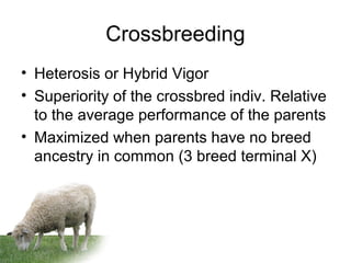 Crossbreeding
• Heterosis or Hybrid Vigor
• Superiority of the crossbred indiv. Relative
to the average performance of the parents
• Maximized when parents have no breed
ancestry in common (3 breed terminal X)
 