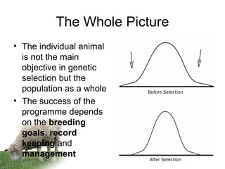 The Whole Picture
• The individual animal
is not the main
objective in genetic
selection but the
population as a whole
• The success of the
programme depends
on the breeding
goals, record
keeping and
management
 