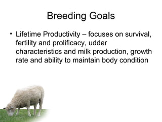 Breeding Goals
• Lifetime Productivity – focuses on survival,
fertility and prolificacy, udder
characteristics and milk production, growth
rate and ability to maintain body condition
 