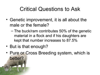 Animal breeding and selection