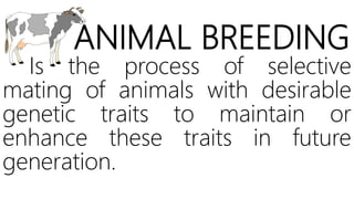 ANIMAL BREEDING
Is the process of selective
mating of animals with desirable
genetic traits to maintain or
enhance these traits in future
generation.
 