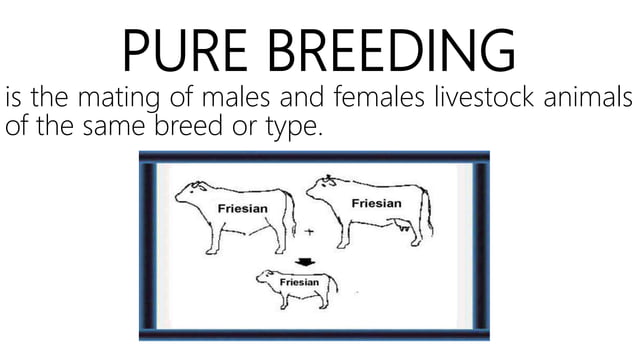 Introduction To Animal Breeding – EPYPCY
