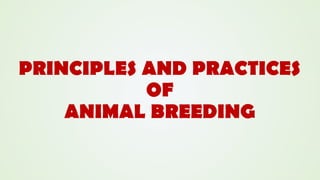 Animal Breeding Reproduction Presentation.pptx