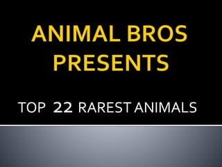 TOP 22 RAREST ANIMALS
 