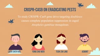 CRISPR-cas9 on eradicating pests
Teoh zhi lingYong shu wenLiew chen hau ASwint
To study CRISPR–Cas9 gene drive targeting doublesex
causes complete population suppression in caged
Anopheles gambiae mosquitoes
 