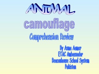 ANIMAL By Asma Aamer ETAC Ambassador Beaconhouse School System Pakistan Comprehension Review camouflage 