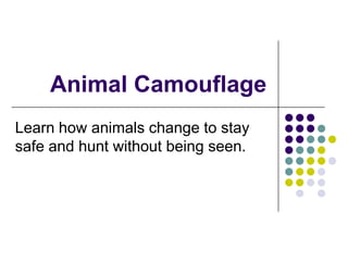 Animal Camouflage
Learn how animals change to stay
safe and hunt without being seen.

 