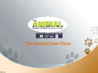 The Animal Care Clinic

 