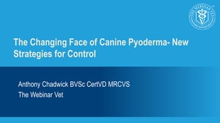 The Changing Face of Canine Pyoderma- New 
Strategies for Control 
Anthony Chadwick BVSc CertVD MRCVS 
The Webinar Vet 
 