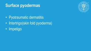 The changing face of canine pyoderma- new strategies for control | PPTX