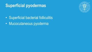 The changing face of canine pyoderma- new strategies for control | PPTX