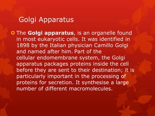Golgi Apparatus
 The Golgi apparatus, is an organelle found
  in most eukaryotic cells. It was identified in
  1898 by the Italian physician Camillo Golgi
  and named after him. Part of the
  cellular endomembrane system, the Golgi
  apparatus packages proteins inside the cell
  before they are sent to their destination; it is
  particularly important in the processing of
  proteins for secretion. It synthesise a large
  number of different macromolecules.
 