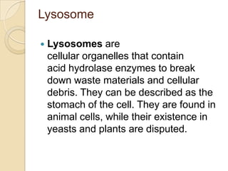 Lysosome

   Lysosomes are
    cellular organelles that contain
    acid hydrolase enzymes to break
    down waste materials and cellular
    debris. They can be described as the
    stomach of the cell. They are found in
    animal cells, while their existence in
    yeasts and plants are disputed.
 