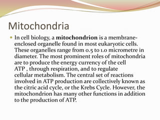 Mitochondria
 In cell biology, a mitochondrion is a membrane-
 enclosed organelle found in most eukaryotic cells.
 These organelles range from 0.5 to 1.0 micrometre in
 diameter. The most prominent roles of mitochondria
 are to produce the energy currency of the cell
 ATP , through respiration, and to regulate
 cellular metabolism. The central set of reactions
 involved in ATP production are collectively known as
 the citric acid cycle, or the Krebs Cycle. However, the
 mitochondrion has many other functions in addition
 to the production of ATP.
 