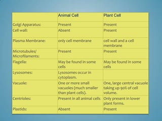 Animal Cell                   Plant Cell

Golgi Apparatus:   Present                       Present
Cell wall:         Absent                        Present

Plasma Membrane:   only cell membrane            cell wall and a cell
                                                 membrane
Microtubules/      Present                       Present
Microfilaments:
Flagella:          May be found in some          May be found in some
                   cells                         cells
Lysosomes:         Lysosomes occur in
                   cytoplasm.
Vacuole:           One or more small             One, large central vacuole
                   vacuoles (much smaller        taking up 90% of cell
                   than plant cells).            volume.
Centrioles:        Present in all animal cells   Only present in lower
                                                 plant forms.
Plastids:          Absent                        Present
 