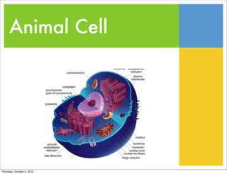 Animal Cell




Thursday, October 4, 2012
 