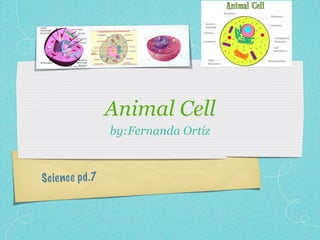 Animal Cell
                   by:Fernanda Ortiz



S cien ce p d .7
 