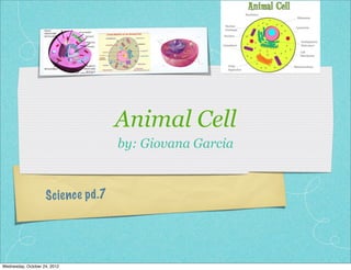 Animal Cell
                                       by: Giovana Garcia



                    S cien ce p d .7




Wednesday, October 24, 2012
 