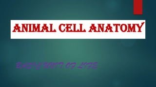 Animal Cell Anatomy
BASIC UNIT OF LIFE

 