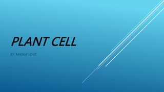ANIMAL CELL AND PLANT CELL.pptx