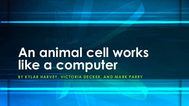 animal cell analogy
