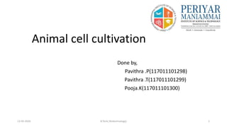 Animal cell cultivation
Done by,
Pavithra .P(117011101298)
Pavithra .T(117011101299)
Pooja.K(117011101300)
12-05-2020 B.Tech( Biotechnology) 1
 