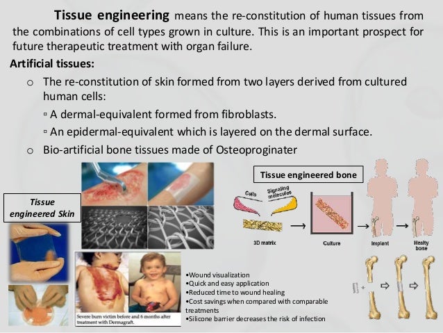 The Awesome Science of Animal Cell Culture...