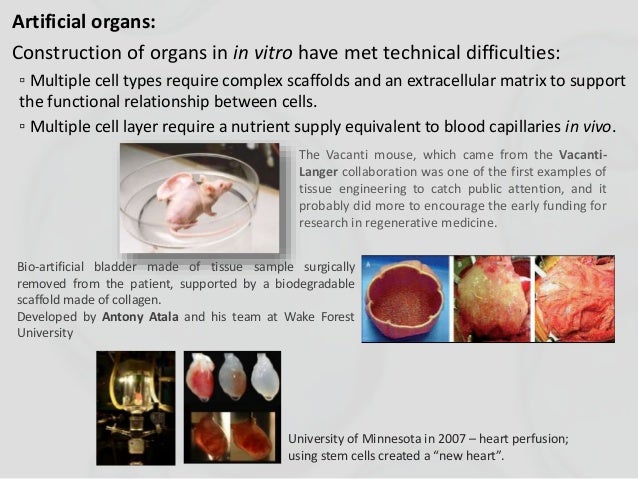 The Awesome Science Of Animal Cell Culture