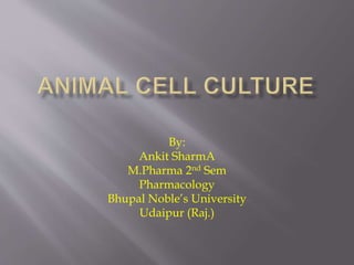 By:
Ankit SharmA
M.Pharma 2nd Sem
Pharmacology
Bhupal Noble’s University
Udaipur (Raj.)
 