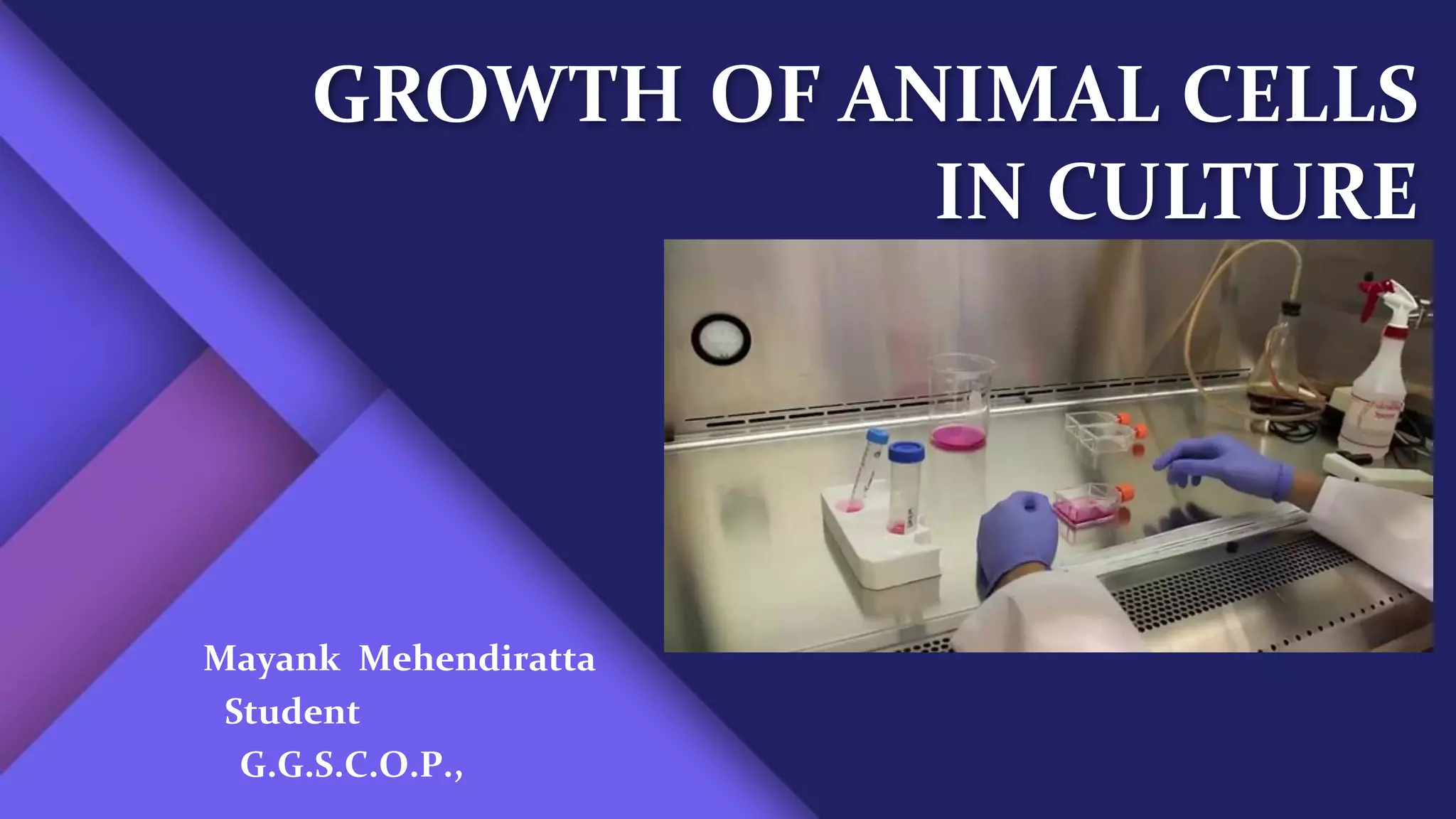Animal cell culture (Basics) PPT
