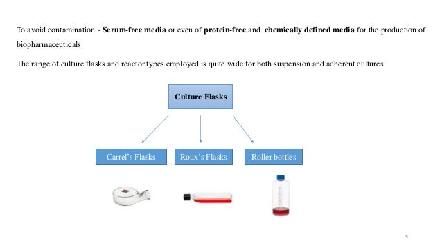 Animal Cell Culture In Biopharmaceutical Industry In The Production O