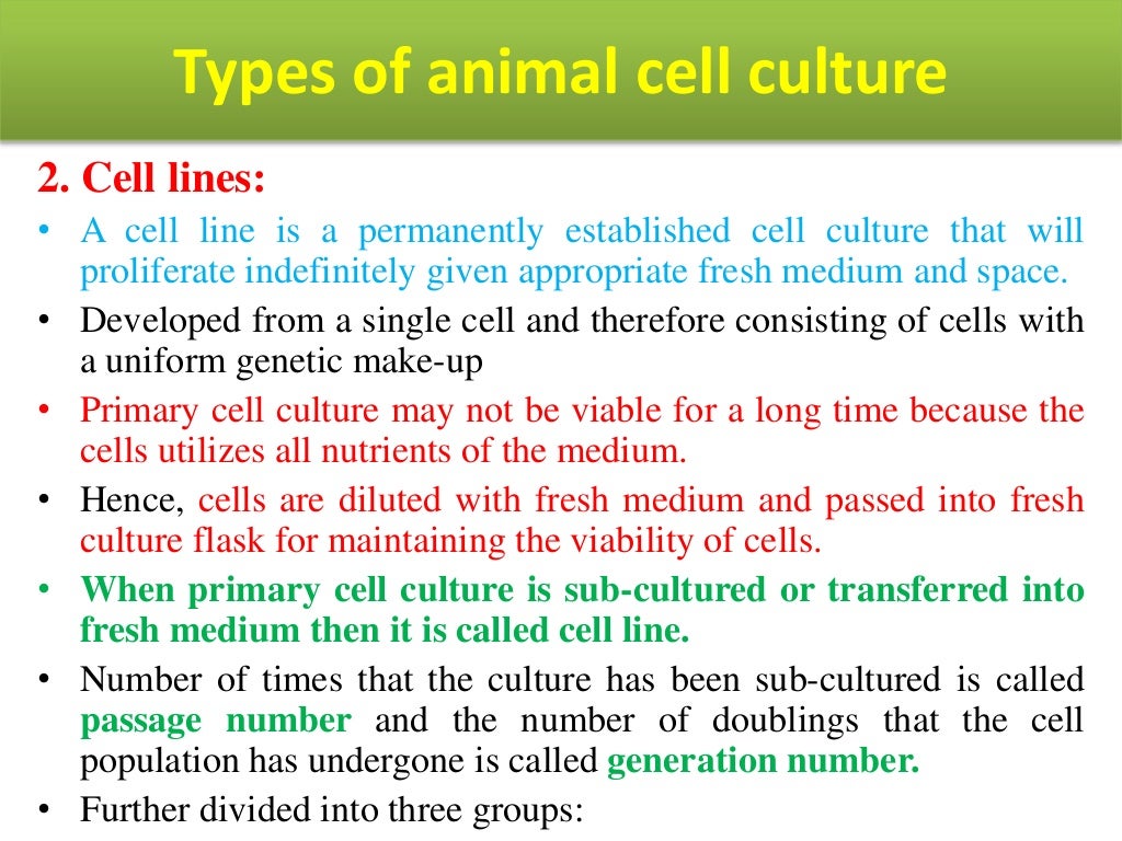 Animal cell culture
