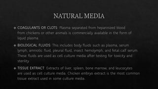 Animal cell culture | PDF