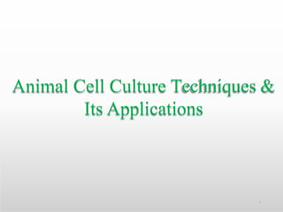 Animal Cell Culture Techniques &
Its Applications
1
 