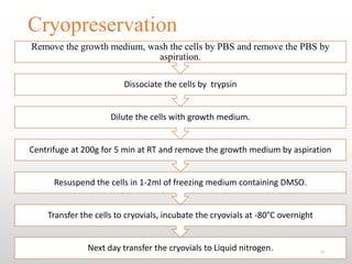 Animal cell culture techniques | PPTX