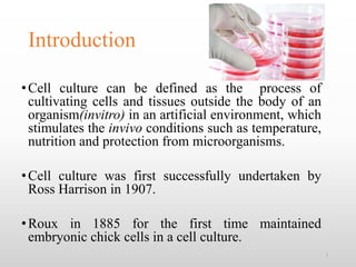 Animal cell culture techniques