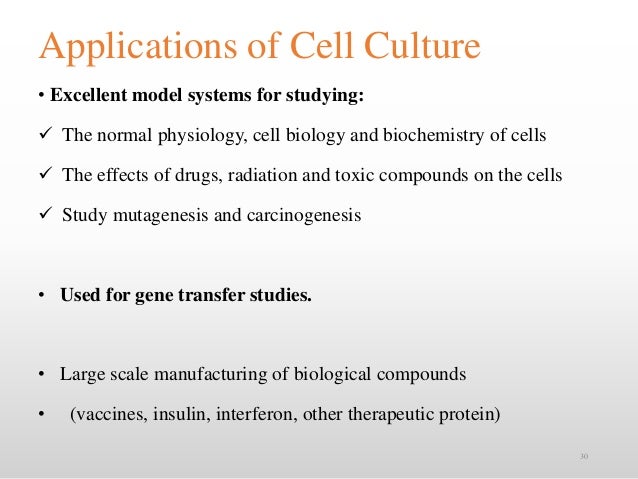Animal Cell Culture Ppt Ppt Basics Of Cell Culture And Animal