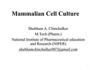 Mammalian Cell Culture
Shubham A. Chinchulkar
M.Tech (Pharm.)
National Institute of Pharmaceutical education
and Research (NIPER)
shubhamchinchulkar007@gmail.com
1
 