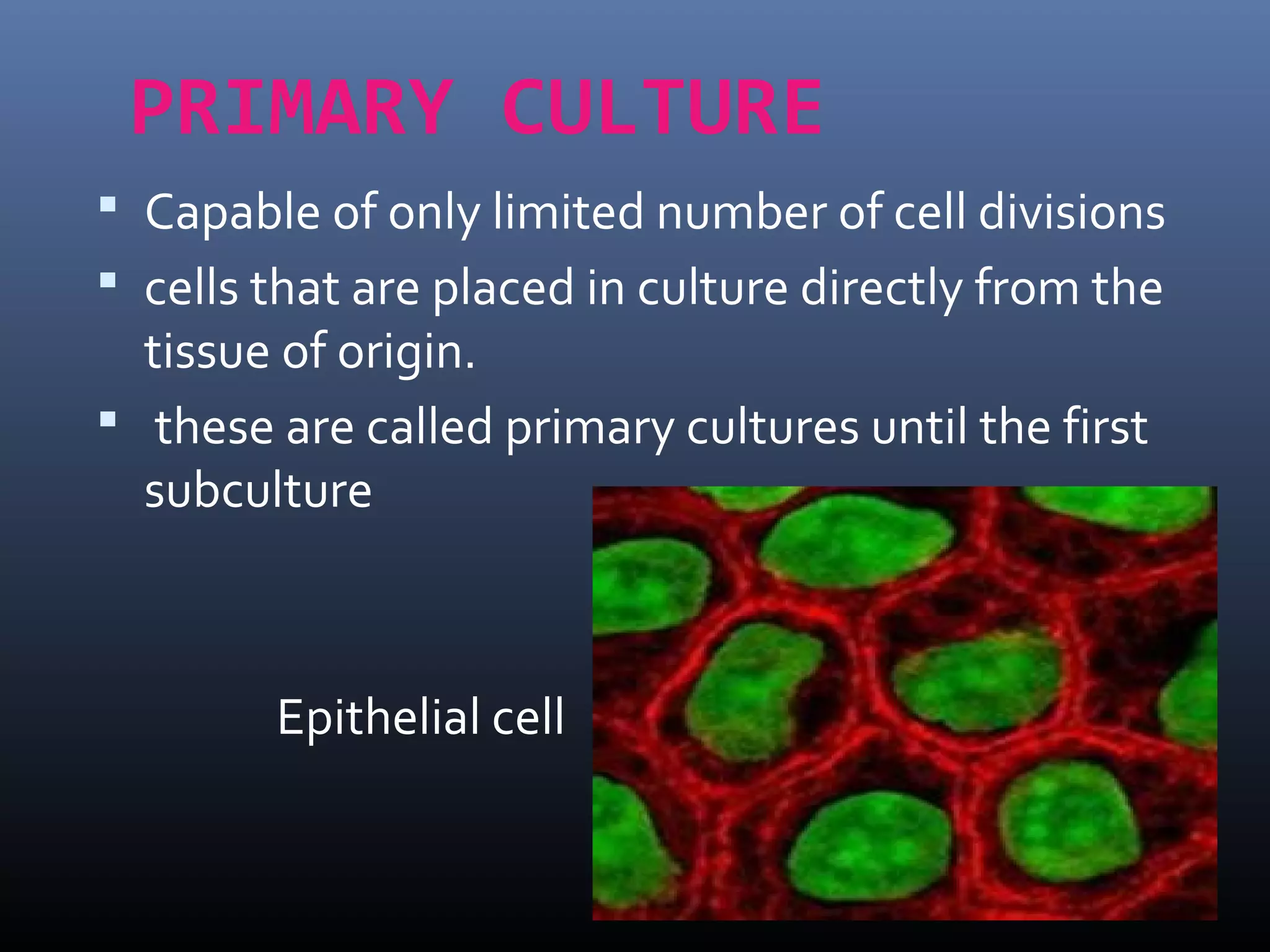 Animal cell lines culturing