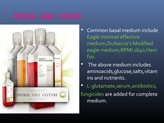 MEDIA AND SERUM
 Common basal medium include
Eagle minimal effective
medium,Dulbecco’s Modified
eagle medium,RPMI 1640,Ham
f10.
 The above medium includes
aminoacids,glucose,salts,vitam
ins and nutrients.
 L-glutamate,serum,antibiotics,
fungicides are added for complete
medium.
 