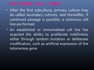 CONTINOUS CELL LINES
• After the first subculture, primary culture may
be called secondary cultures, and thereafter, if
continued passage is possible, a continous cell
line are formed.
• An established or immortalised cell line has
acquired the ability to proliferate indefinitely
either through random mutation or deliberate
modification, such as artificial expression of the
telomerase gene.
 