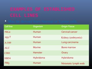 EXAMPLES OF ESTABLISHED
CELL LINES
 May be derived from Normal or Tumor cells.
Cell line Organism Origin Tissue
HeLa Human Cervical cancer
293-T Human Kidney (embryonic)
A-549 Human Lung carcinoma
ALC Murine Bone marrow
CHO Hamster Ovary
HB54 Hybridoma Hybridoma
FM3 Human Metastatic lymph node
 