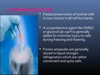 CRYOPRESERVATION
 Freeze preservation of animal cells
is now routine in all cell line banks.
 A cryoprotective agent like DMSO
or glycerol (at-130°cis generally
added to minimize injury to cells
during freezing and thawing.
 Frozen ampoules are generally
stored in liquid nitrogen
refrigerators which are rather
convenient and quite safe.
 