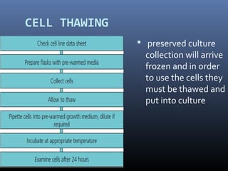 CELL THAWING
 preserved culture
collection will arrive
frozen and in order
to use the cells they
must be thawed and
put into culture
 